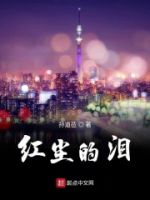 红尘的泪的封面