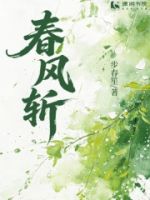 春风斩的封面