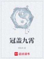 冠盖九霄的封面