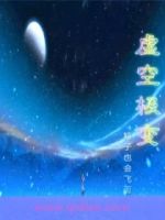虚空极变的封面