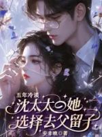 五年冷淡,沈太太她选择去父留子的封面