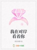 我在对岸看着你的封面