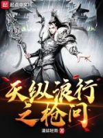 天纵浪行之枪问的封面
