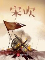 宋吹的封面