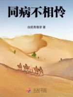 同病不相怜的封面