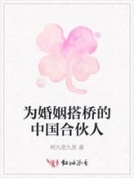 为婚姻搭桥的中国合伙人的封面