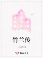 竹兰传的封面