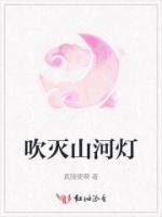 吹灭山河灯的封面
