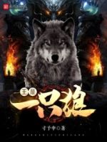 王是一只狼的封面