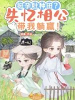 挺孕肚种田?失忆相公带我躺赢!的封面
