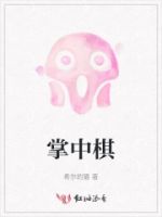 掌中棋的封面