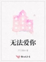 无法爱你的封面