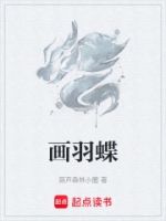 画羽蝶的封面