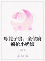 母凭子贵,全侯府疯抢小奶娘的封面
