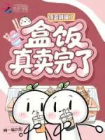 顶流别追了,盒饭真卖完了的封面