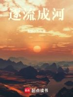 逐流成河的封面