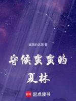 守候蛮蛮的夏林的封面