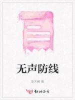 无声防线的封面