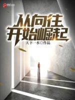 从向往开始崛起的封面
