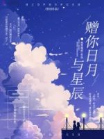 赠你日月与星辰的封面