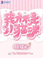 我才不是小猫咪的封面