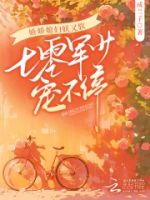 娇娇媳妇妖又软,七零军少宠不停的封面