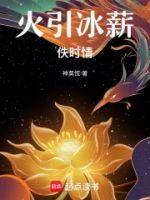 火引冰薪佚时情的封面
