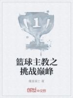 篮球主教之挑战巅峰的封面
