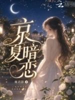 京夏暗恋的封面