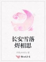 长安雪落烬相思的封面