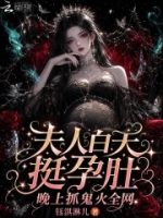夫人白天挺孕肚,晚上抓鬼火全网的封面