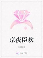 京夜臣欢的封面