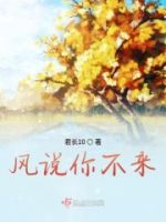 风说你不来的封面