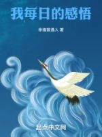 我每日的感悟的封面
