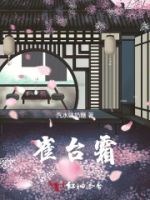 雀台霜的封面