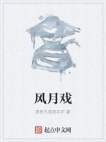 风月戏的封面