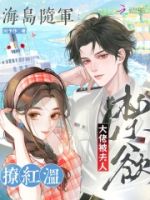海岛随军,禁欲大佬被夫人撩红温的封面