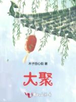 大聚的封面