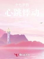 十七岁的心跳悸动的封面