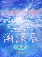 溯溪辰:诗集的封面