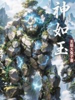 神如玉的封面