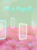 那年的诗风的封面