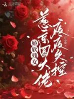 娇软残女,惹京圈大佬夜夜失控的封面