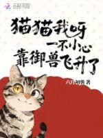 猫猫我呀,一不小心靠御兽飞升了的封面