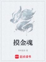 摸金魂的封面