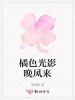 橘色光影晚风来的封面