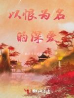 以恨为名的深爱的封面