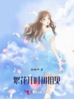 繁花开时初相见的封面
