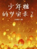 少年糖的梦实录2的封面