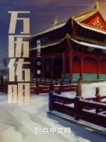 万历佑明的封面